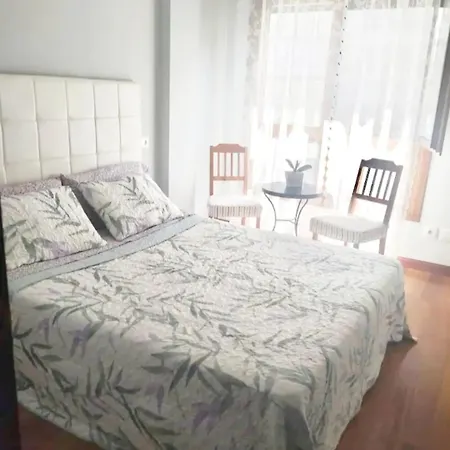 Apartamento Playa-centro Daire
